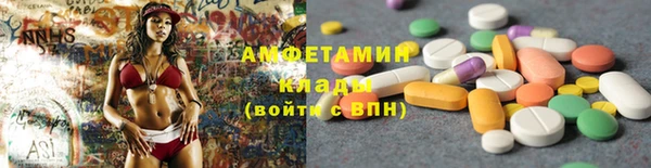 шишки Белоозёрский