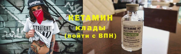 шишки Белоозёрский