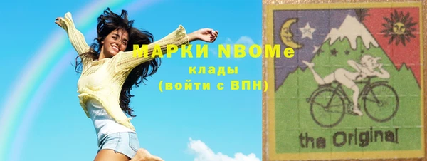 шишки Белоозёрский