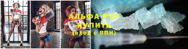 стафф Белокуриха
