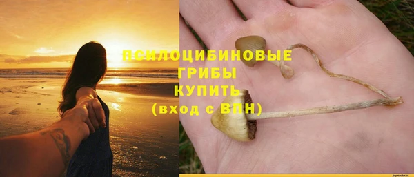 PSILOCYBIN Беломорск
