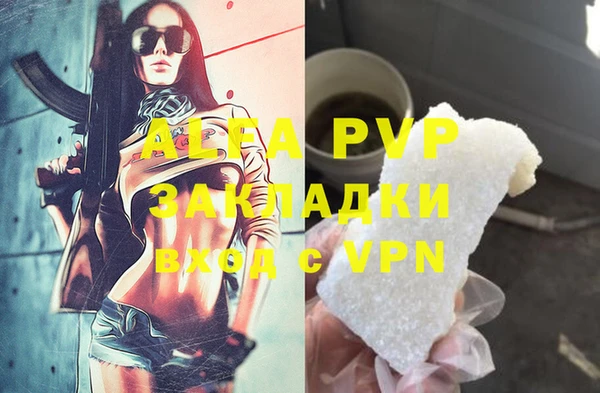 стафф Белокуриха