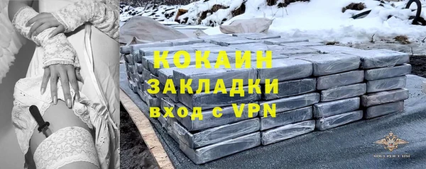 шишки Белоозёрский