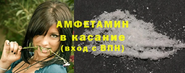 шишки Белоозёрский