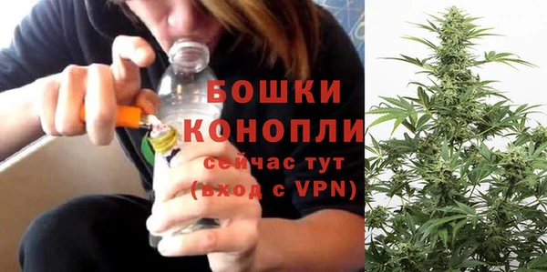 стафф Белокуриха