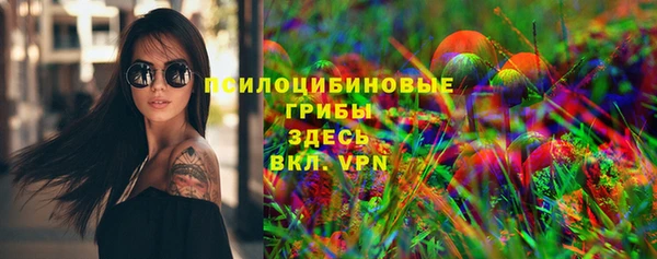 PSILOCYBIN Беломорск