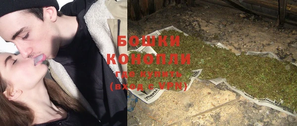 шишки Белоозёрский