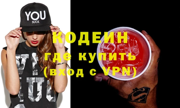 шишки Белоозёрский