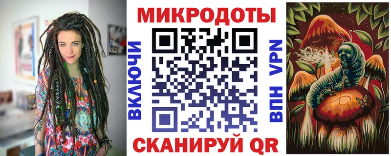 Псилоцибиновые грибы Psilocybe  Красный Холм 